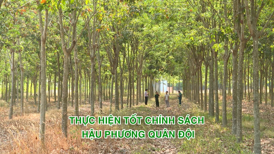 Thực hiện tốt chính sách hậu phương quân đội