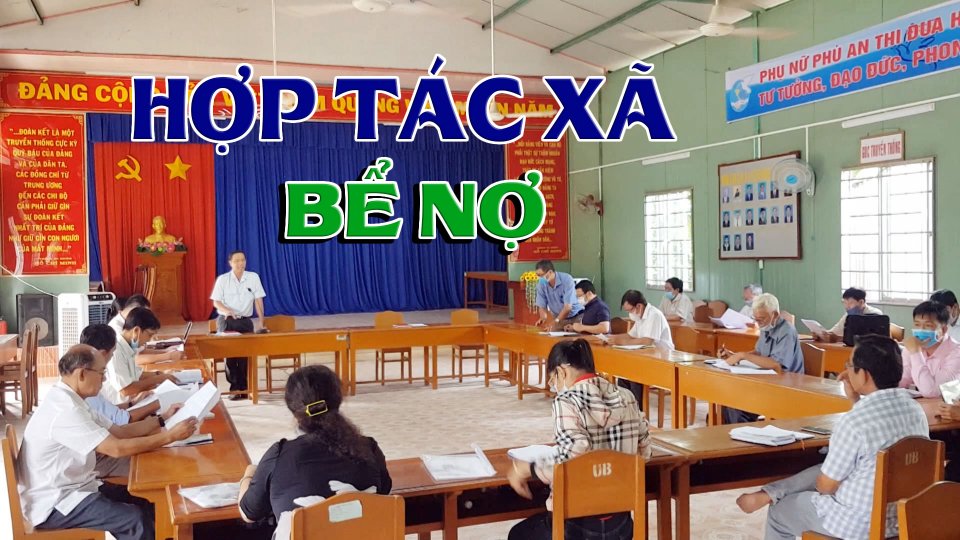 TIN TỨC 100 ĐỘ | Hợp tác xã bể nợ vì vay tiền nóng trả lợi nhuận cho xã viên