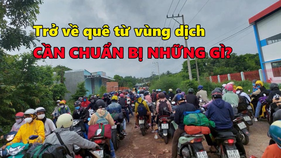 TIN TỨC 100 ĐỘ | Những kiến thức “bỏ túi” khi về quê từ vùng dịch