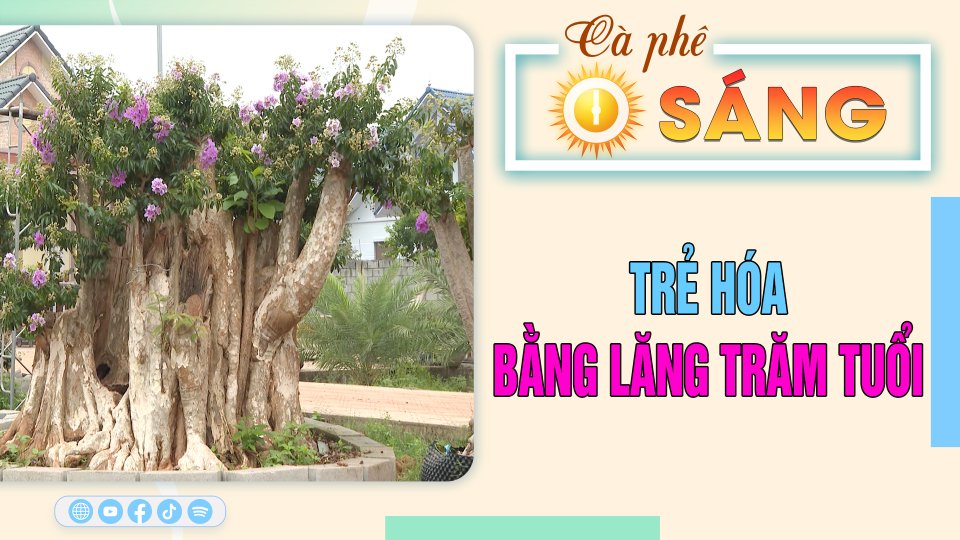 Trẻ hóa những gốc bằng lăng trăm tuổi |Cà phê sáng 19-4-2023 ||BPTV