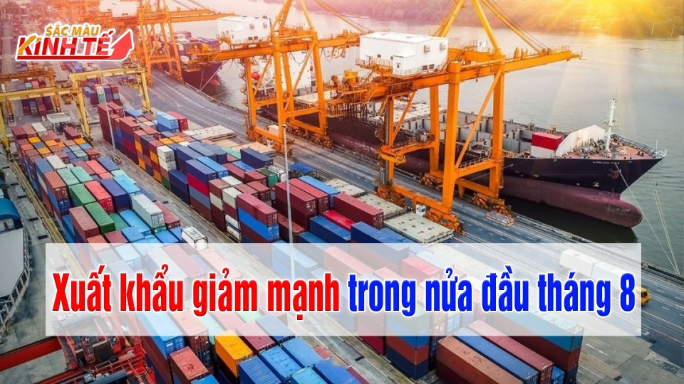 Trị giá xuất nhập khẩu giảm 18% nửa đầu tháng 8 | Sắc màu kinh tế 20-8-2021 | BPTV