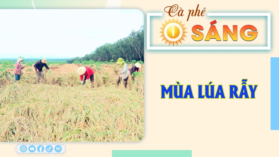 🔴[Trực tiếp] - Cà phê sáng 12-12-2024 |Tin hay mỗi ngày ||BPTV