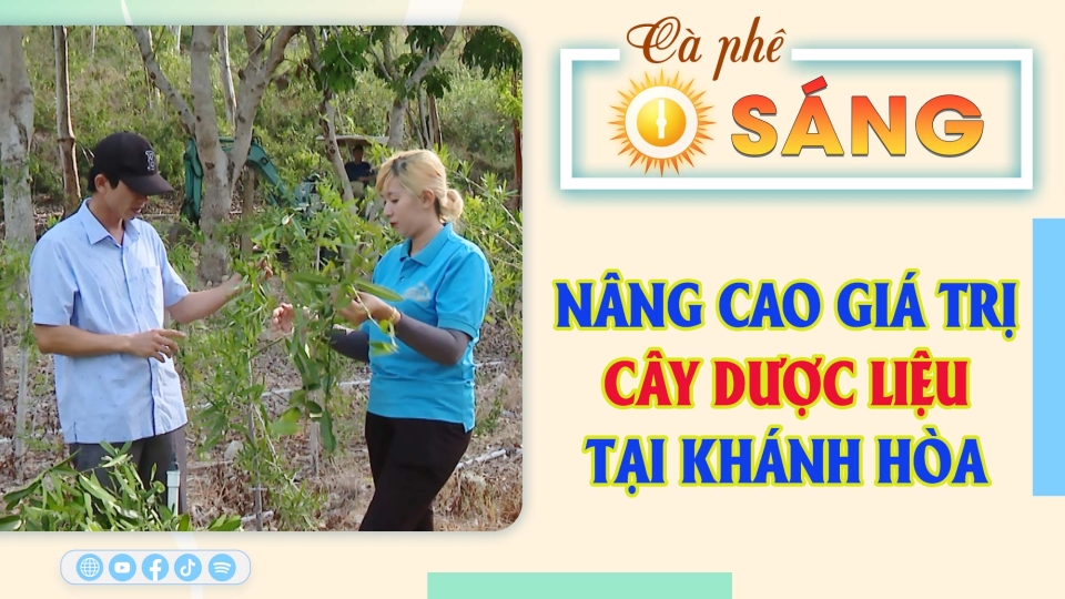 🔴[Trực tiếp] - Cà phê sáng 13-9-2024 |Tin hay mỗi ngày ||BPTV