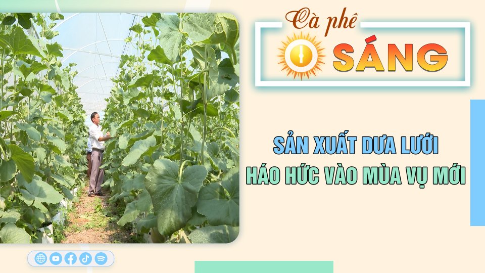 [Trực tiếp] - Cà phê sáng 16-2-2023