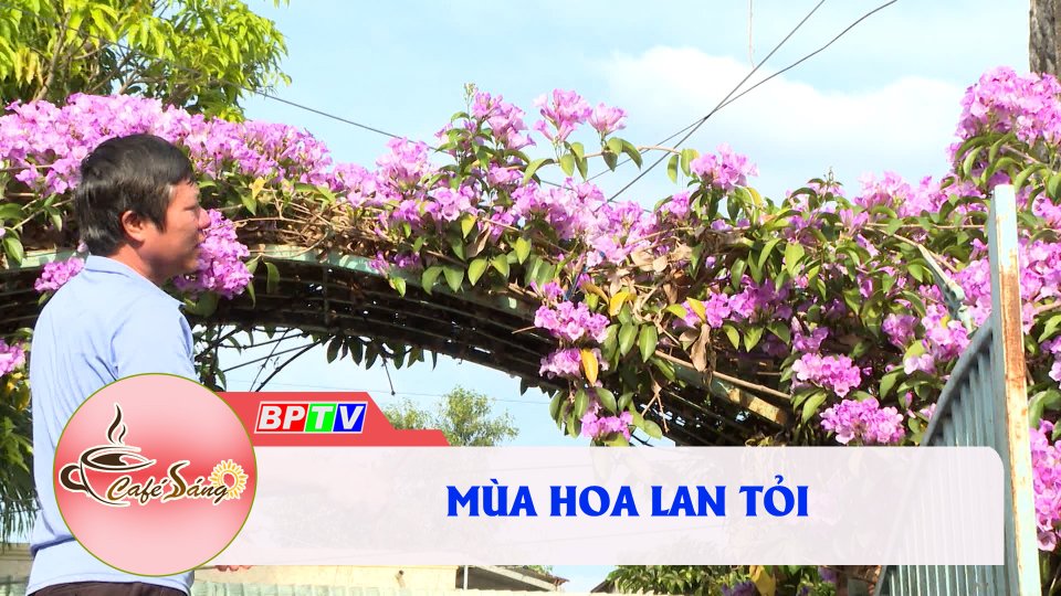 [Trực tiếp] - Cà phê sáng 18-12-2022
