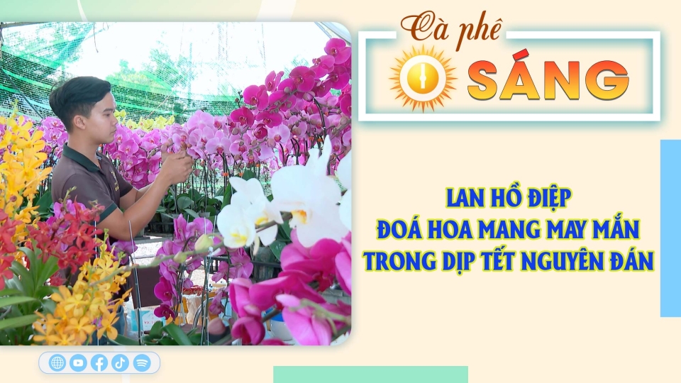 🔴[Trực tiếp] - Cà phê sáng 23-1-2025 |Tin hay mỗi ngày ||BPTV