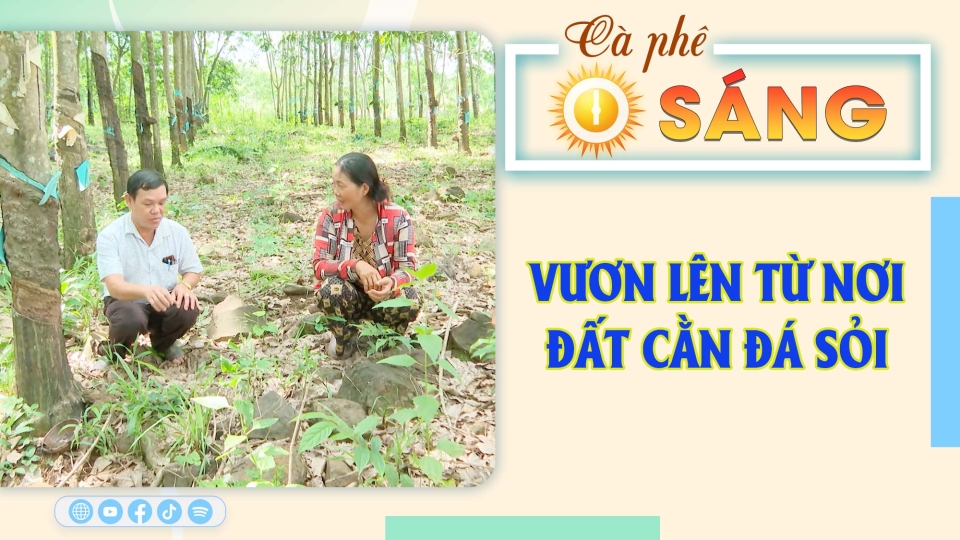 🔴[Trực tiếp] - Cà phê sáng 24-12-2024 |Tin hay mỗi ngày ||BPTV