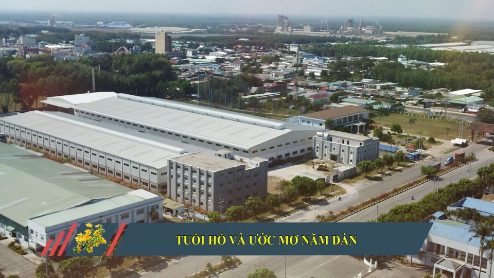 Tuổi hổ và ước mơ năm Dần
