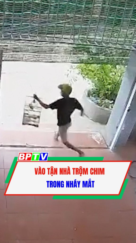 V&agrave;o tận nh&agrave; trộm chim trong nh&aacute;y mắt #shorts