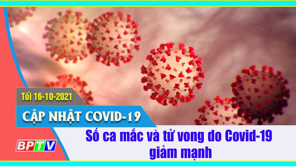 Việt Nam ghi nhận thêm 3.221 ca nhiễm SARS-CoV-2 |Covid-19 tối 16-10 |BPTV