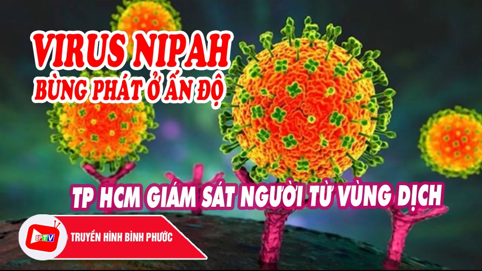 Virus nguy hiểm Nipah bùng phát ở Ấn Độ, TP.HCM giám sát người từ vùng dịch |BPTV