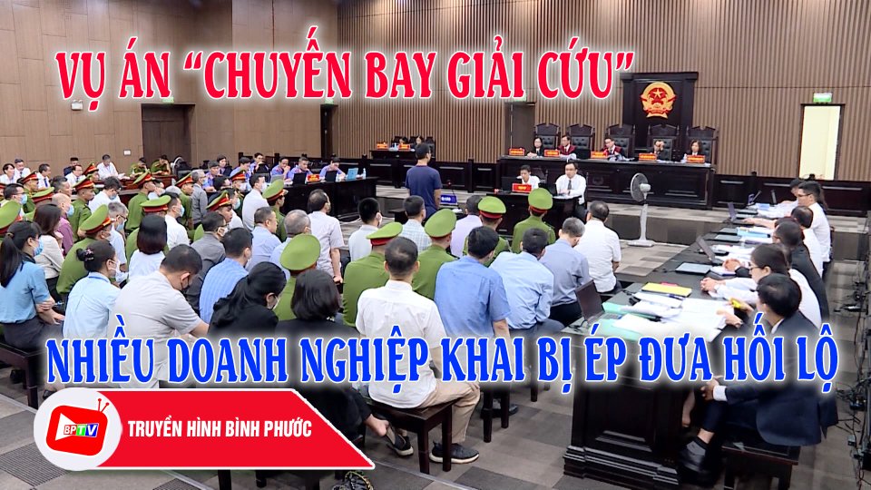 Vụ án “Chuyến bay giải cứu”: Nhiều doanh nghiệp khai bị ép đưa hối lộ |BPTV