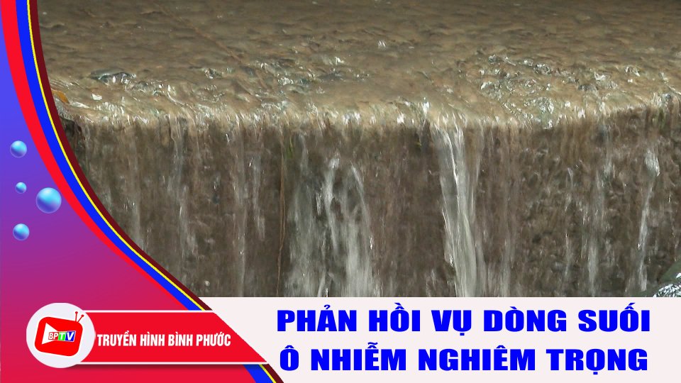 Vụ người dân "kêu cứu" bên dòng suối ô nhiễm: Chính quyền phản hồi |BPTV