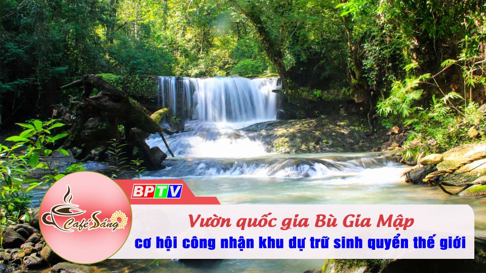 Vườn quốc gia Bù Gia Mập trước cơ hội công nhận khu dự trữ sinh quyển thế giới | BPTV