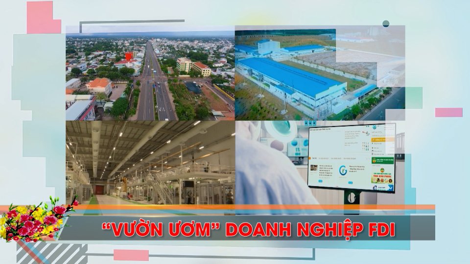 "Vườn ươm" doanh nghiệp FDI