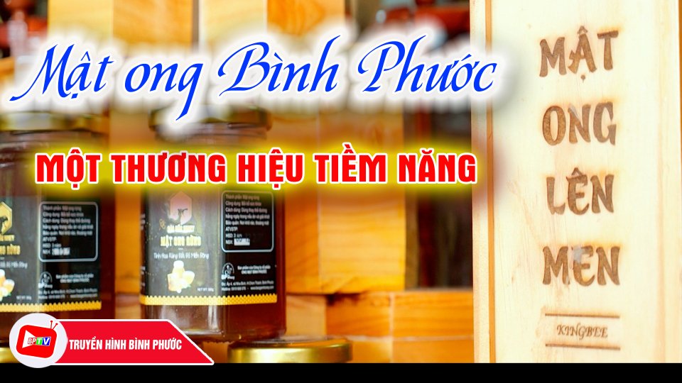 Xây dựng thương hiệu mật ong Bình Phước |Khởi nghiệp cùng Hoài Sơn