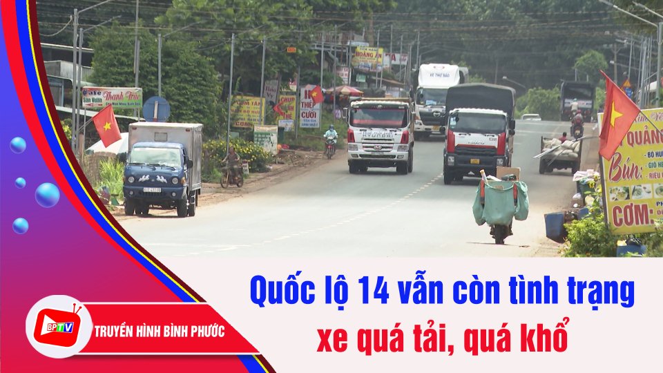 Xe quá tải, quá khổ vẫn còn trên Quốc lộ 14 | BPTV