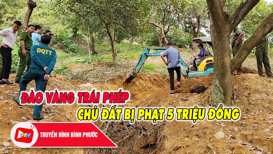 Xử phạt chủ đất đào vàng trái phép ở Bình Phước 5 triệu đồng |BPTV