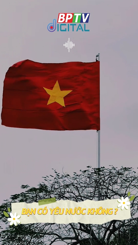 Yêu nước từ những điều bình dị... #shorts